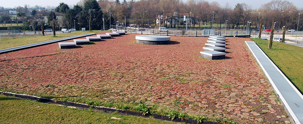 Vegetación del techo verde en el Hospital de Mestre