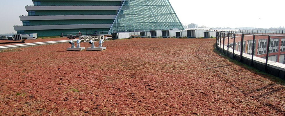 Hospital Dell’Angelo con Drainroof de Geoplast