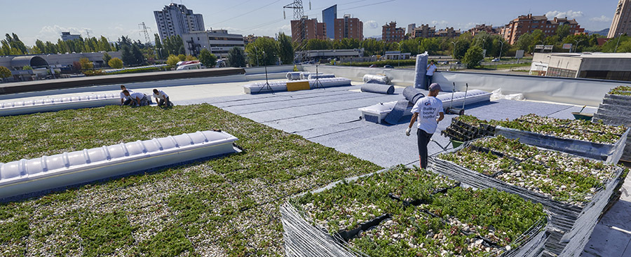 Überblick über den Dachbegrünungsgarten in Bologna