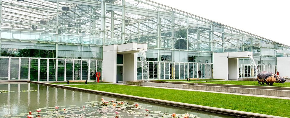Botanischer Garten, Padua, Italien