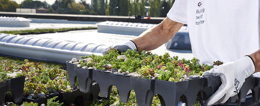 Despar Supermarket Extensive Green Roof