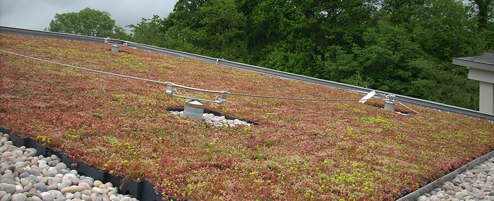 Green Roof with Completa in UK 
