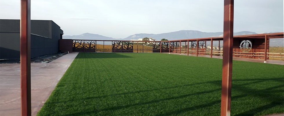 Marramiero Winery extensive roof garden with Drainroof