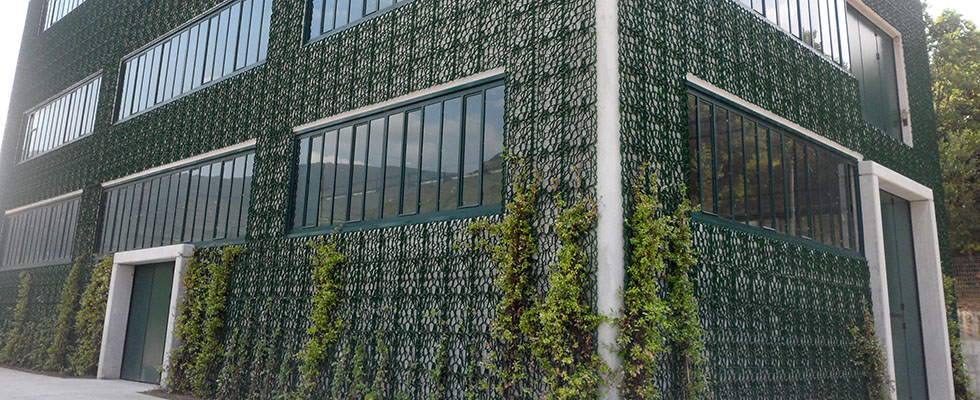 Dacla group with Wasll-Y for green walls 