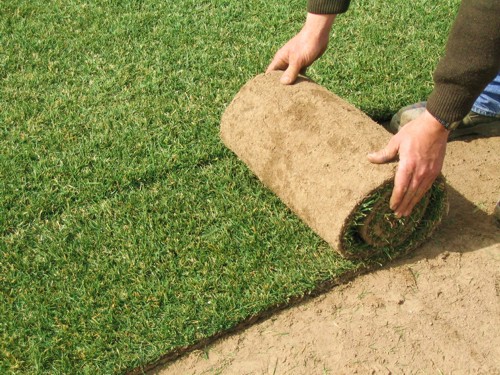 Россия Россия