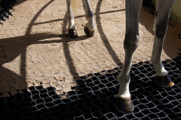 Consolidation of equestrian surfaces_22