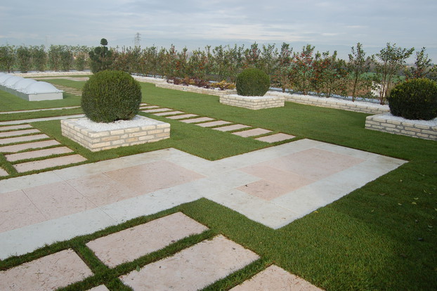 Extensive Roof Garden with Grass_1