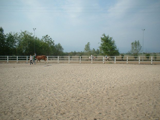 Consolidation of equestrian surfaces_11