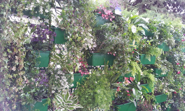 Jardins-verticaux-Solutions-pour-le-vert-Wall-Y_27