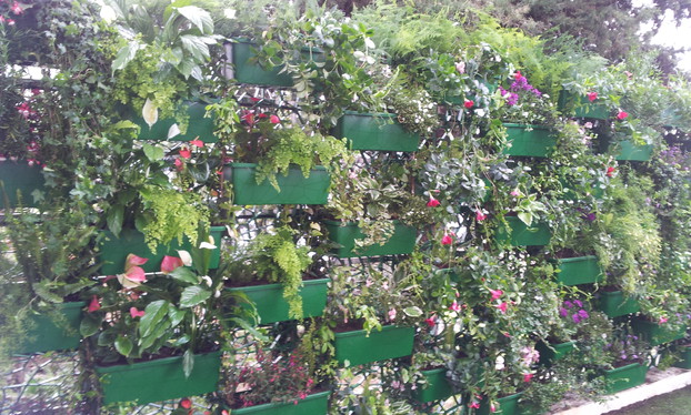 Jardins-verticaux-Solutions-pour-le-vert-Wall-Y_28