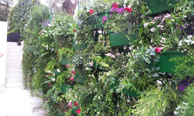 Jardins-verticaux-Solutions-pour-le-vert-Wall-Y_31
