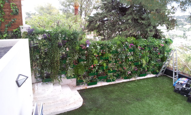 Jardins-verticaux-Solutions-pour-le-vert-Wall-Y_33
