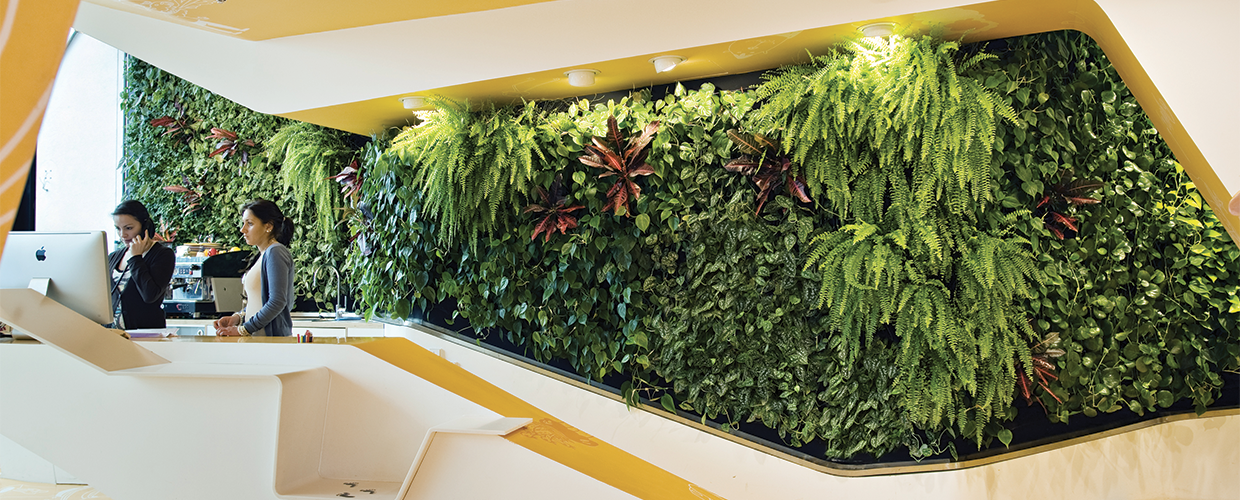 The best plants for green walls - Geoplast