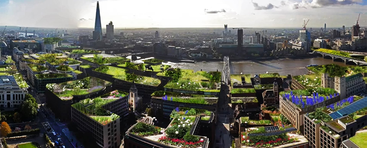 10 reasons that make green walls and roof gardens a good choice