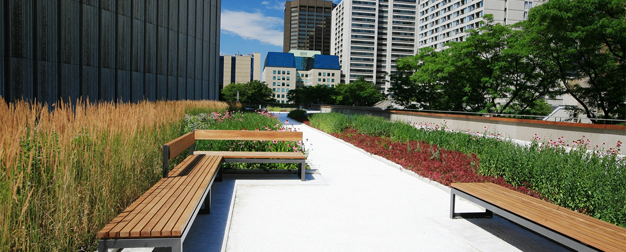 Retrofitting existing buildings with green roofs improves their sustainability
