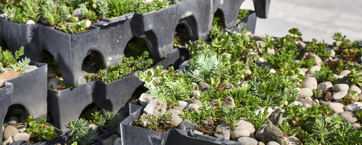 Geoplast Completa Green Roof