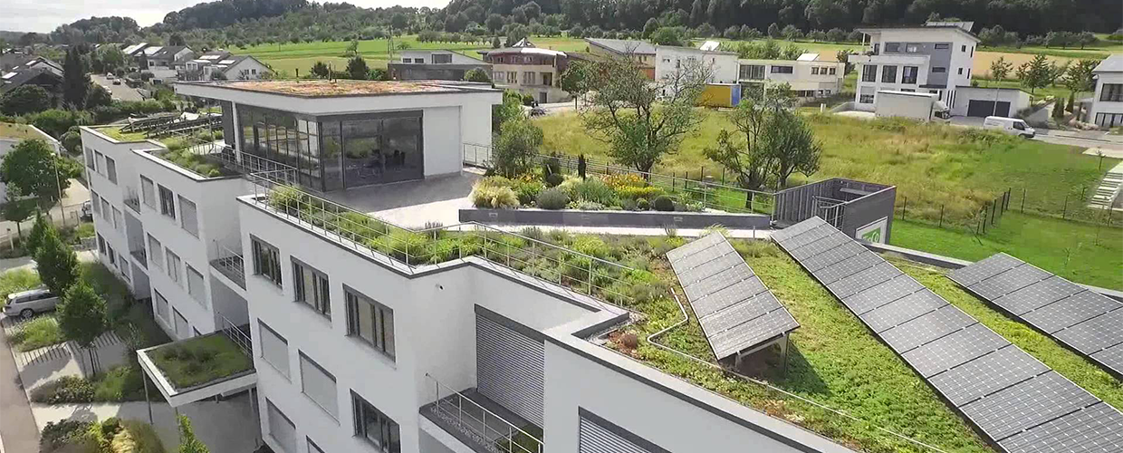 Geoplast Green roof