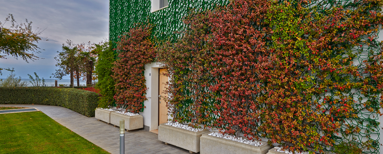 Green facades