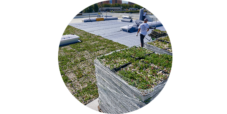 Geoplast Completa green roof installation