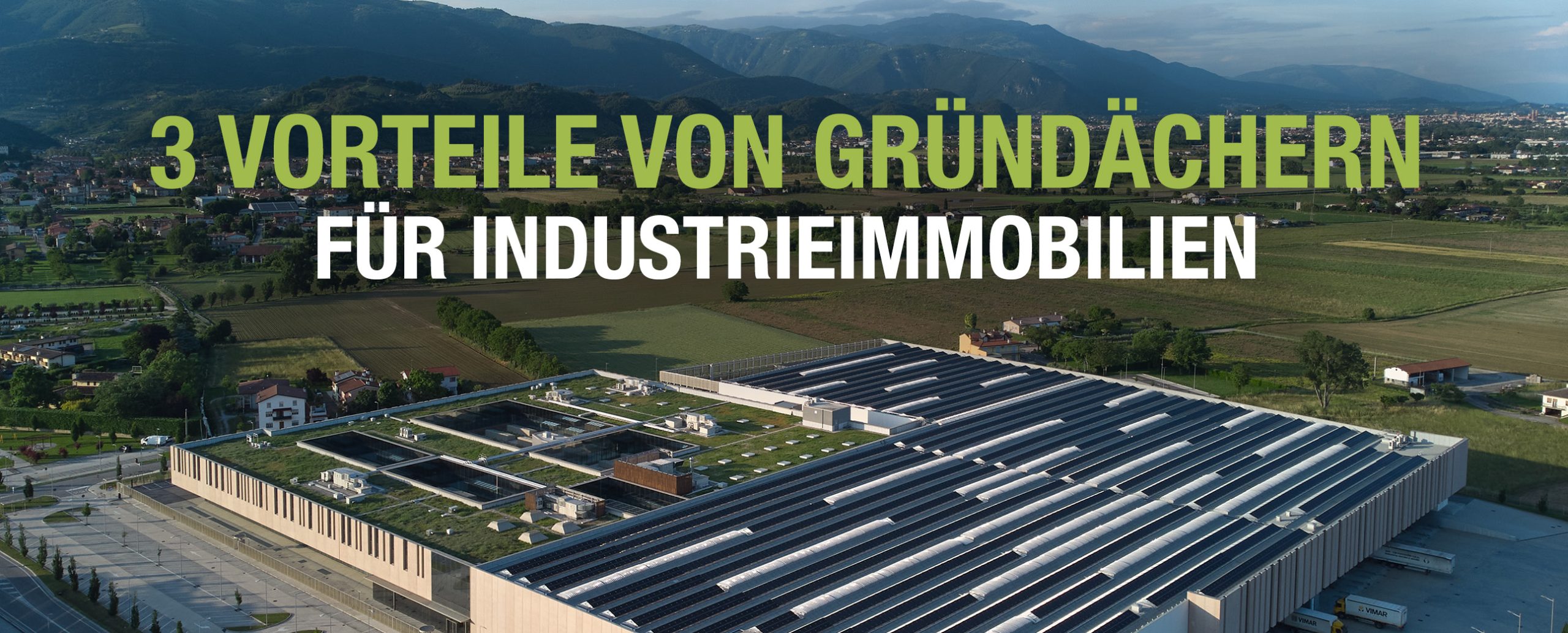 3 Vorteile von Gründächern für Industrieimmobilien