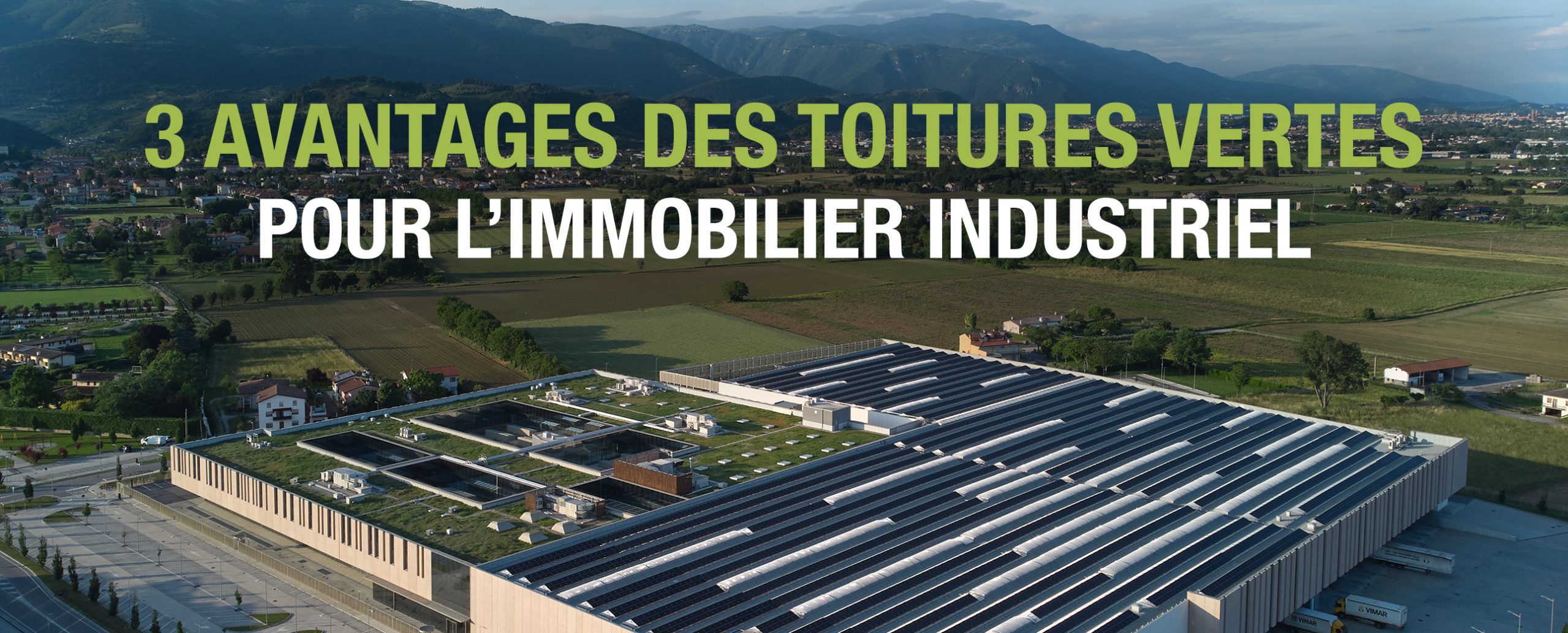 3 avantages des toitures vertes pour l’immobilier industriel