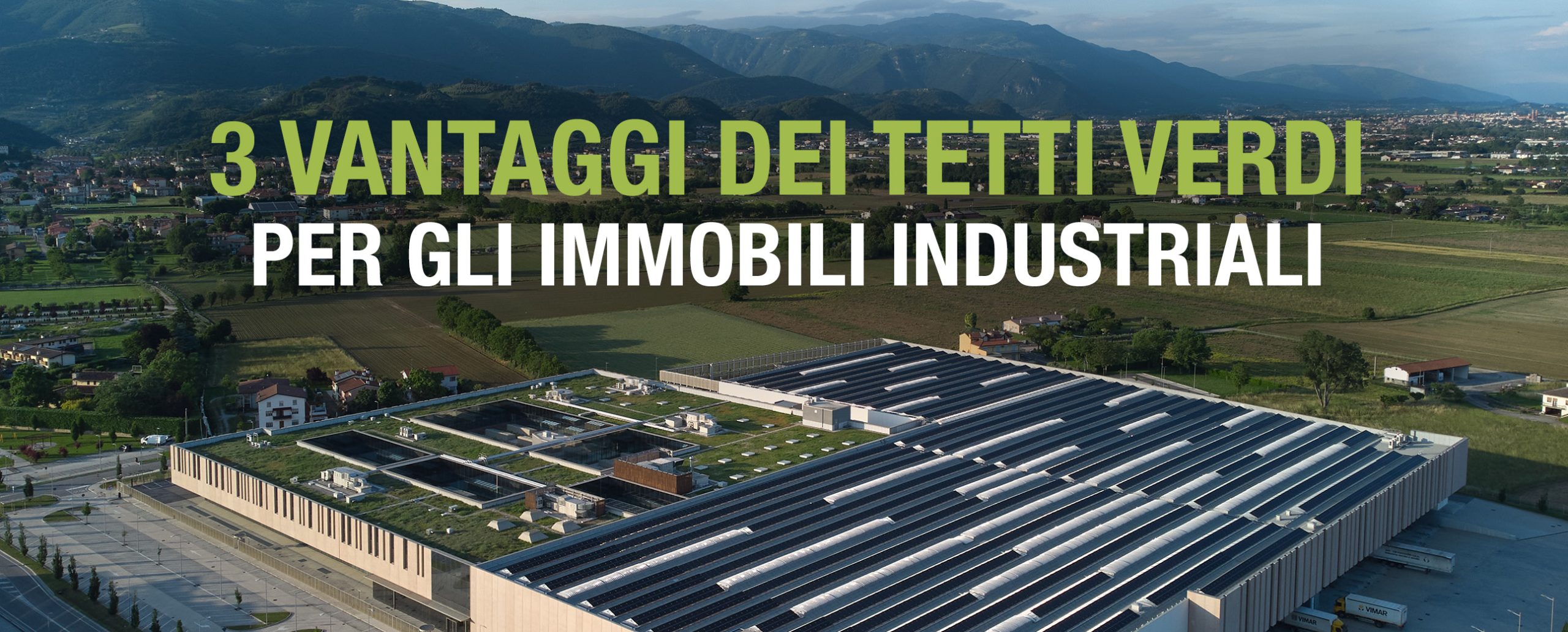 3 vantaggi dei tetti verdi per gli immobili industriali