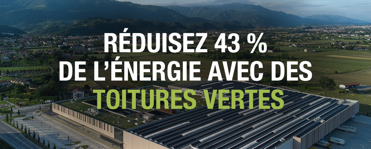 Des écoles maternelles aux usines - réduisez 43 % de l’énergie avec des toitures vertes