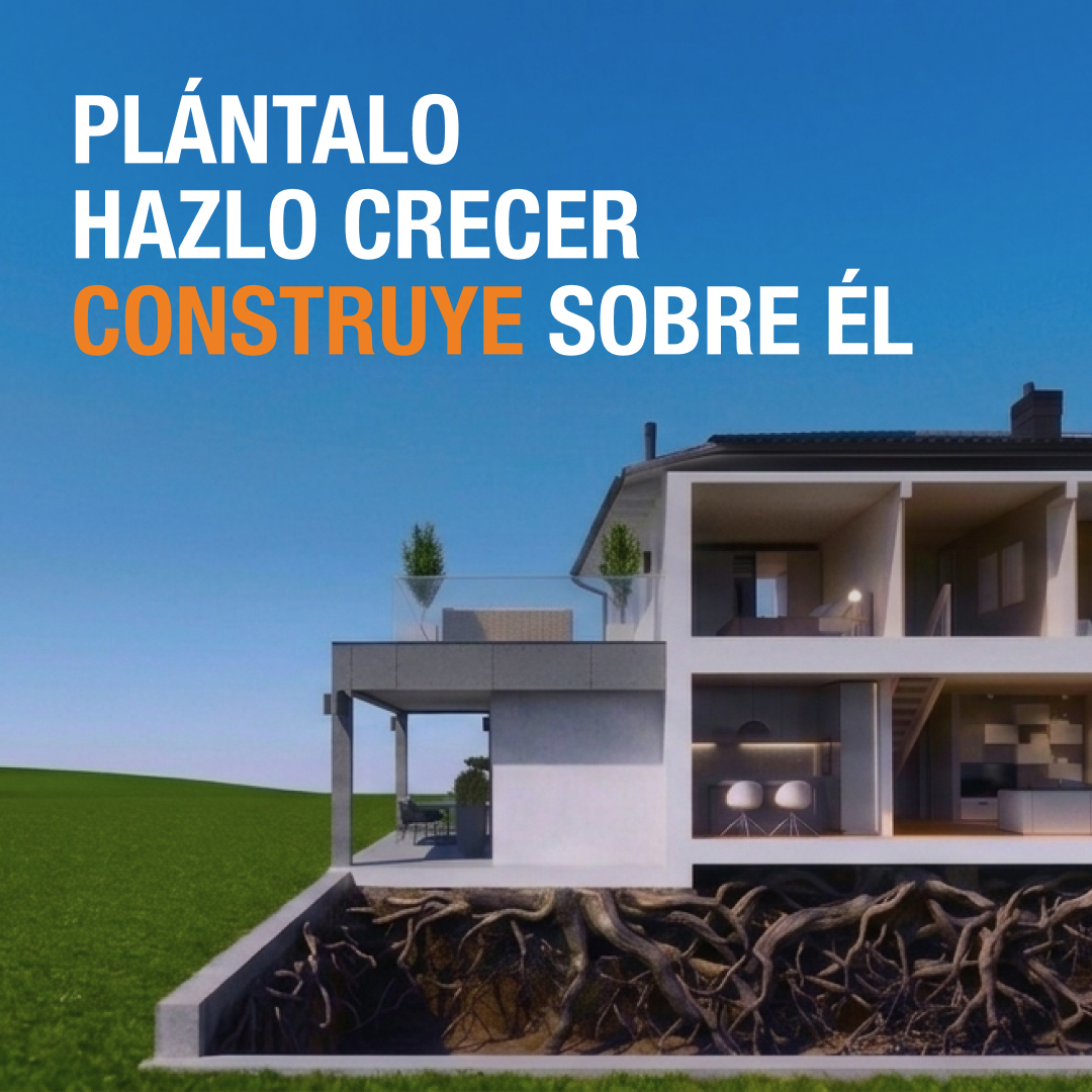 Cimientos Bio-Geopod – cultivados, no vertidos