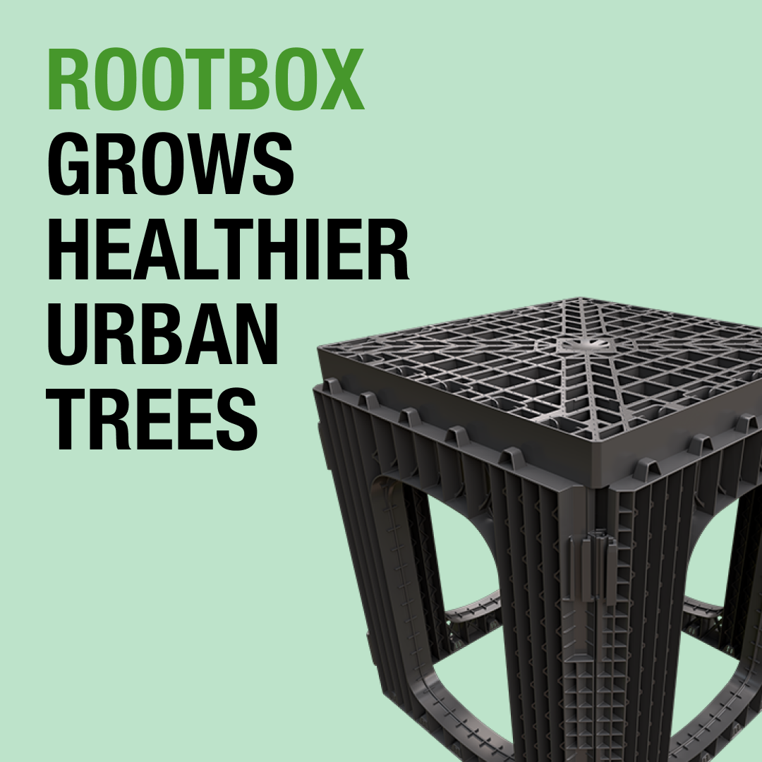 94% void ratio and uncompacted soil: Rootbox outstands usual urban planting methods