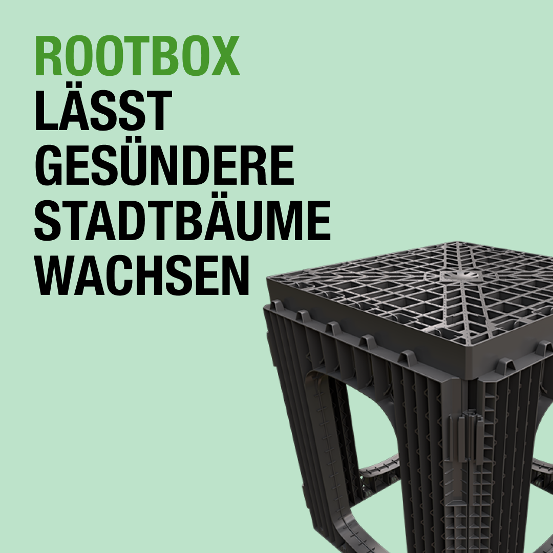 94 % Hohlraumanteil und unverdichteter Boden: Rootbox übertrifft herkömmliche Methoden der urbanen Baumpflanzung