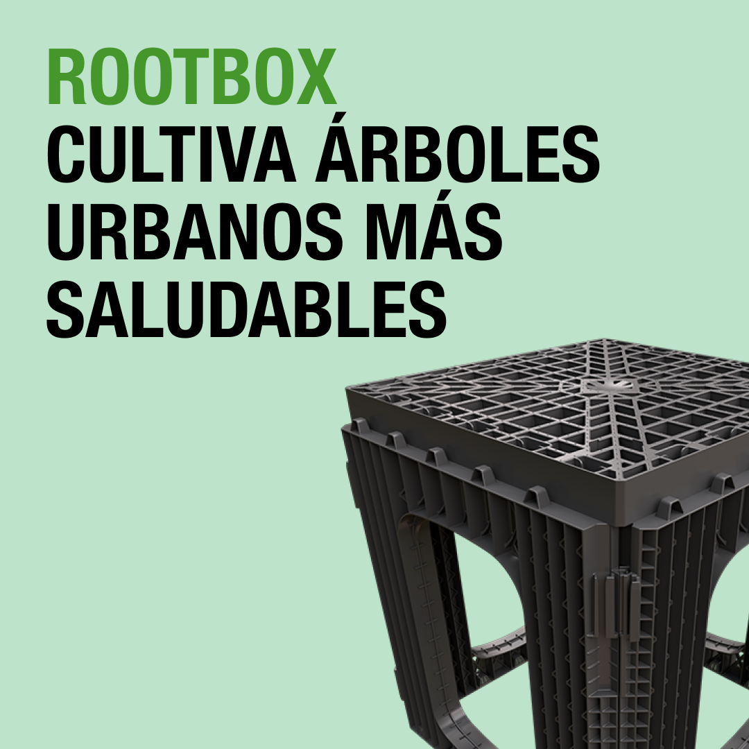 94 % de índice de vacíos y suelo no compactado: Rootbox supera los métodos tradicionales de plantación urbana