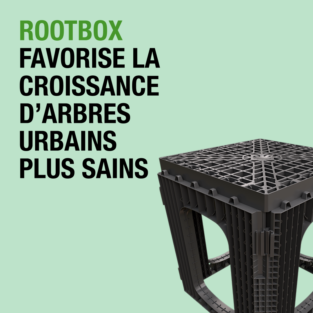 94 % de vide et sol non compacté : Rootbox surpasse les méthodes classiques de plantation urbaine