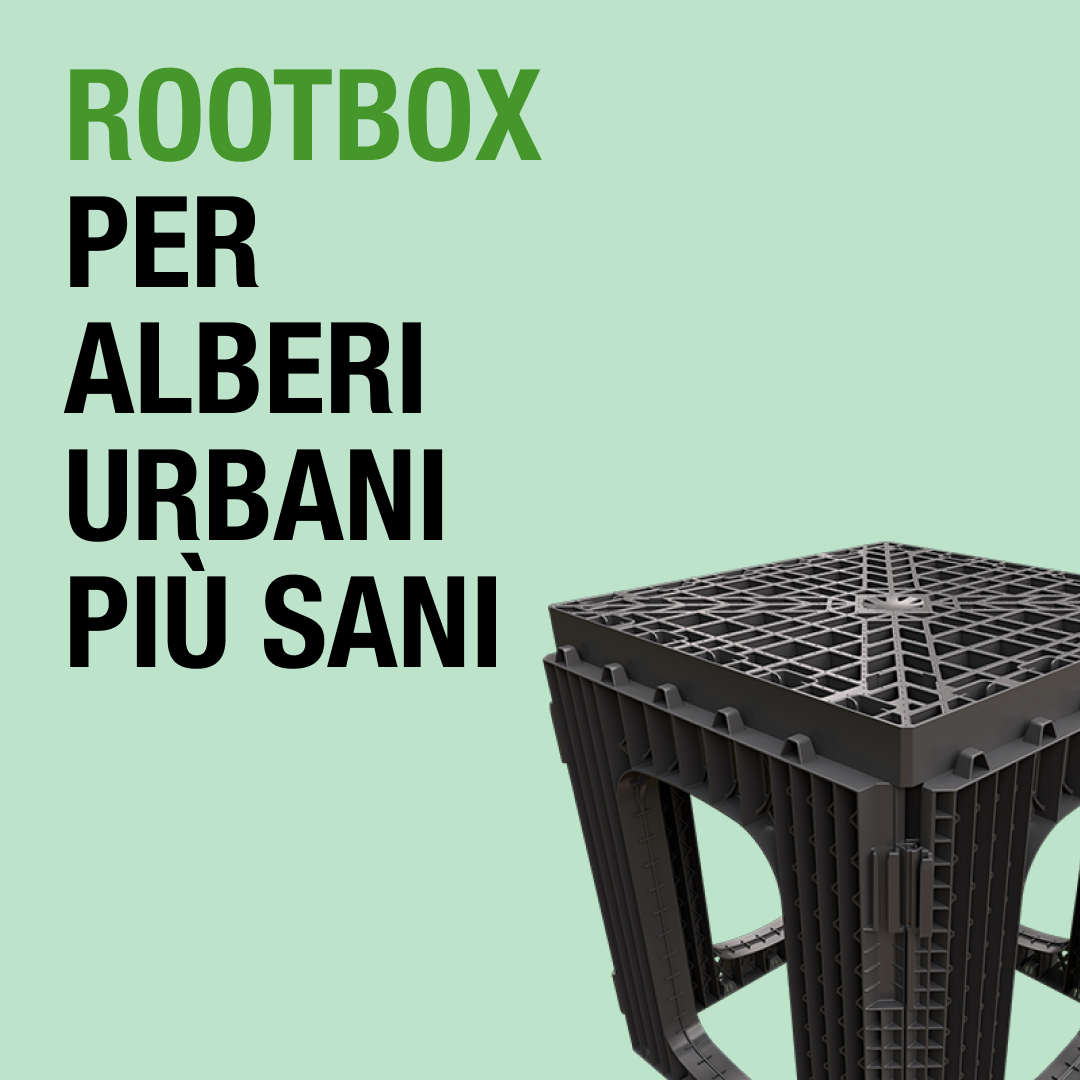 94% di vuoti e suolo non compattato: Rootbox supera i metodi tradizionali di piantumazione urbana